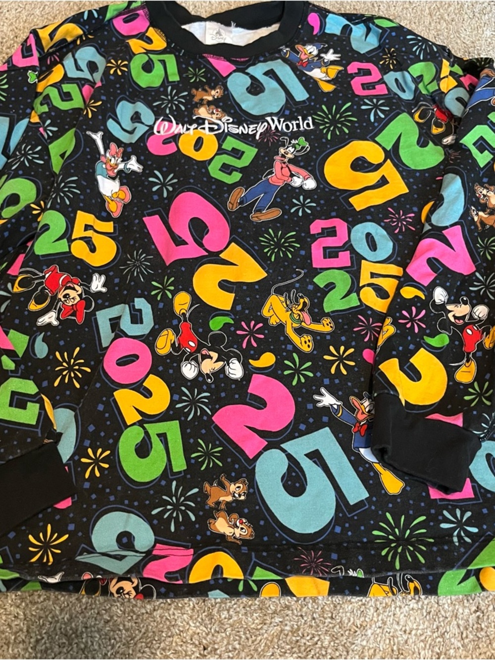 Walt Disney World 2025 Logo Sweatshirt